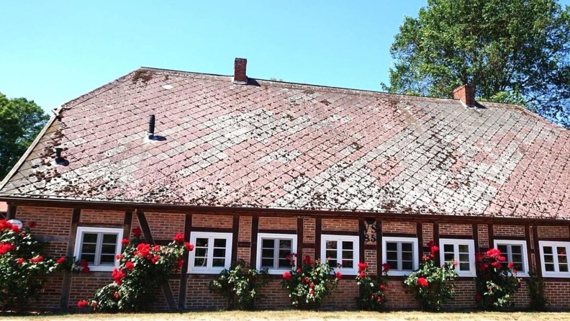 Ferienwohnung Lüdersburger Strasse 15a Exterior foto